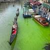 Venedig Canal Grande grün